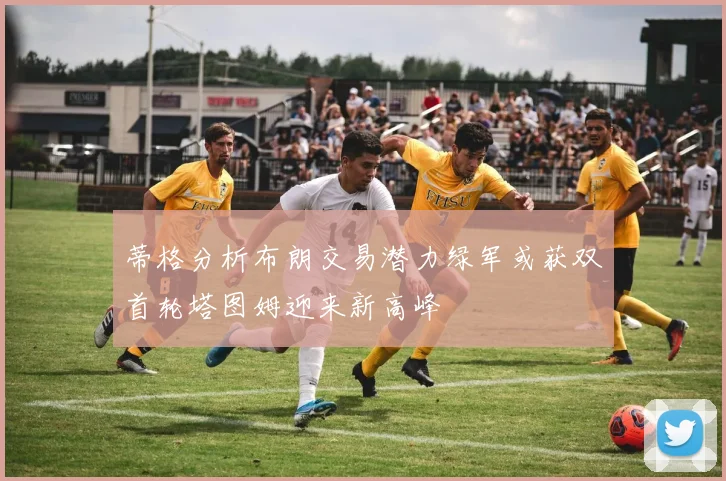 蒂格分析布朗交易潜力绿军或获双首轮塔图姆迎来新高峰